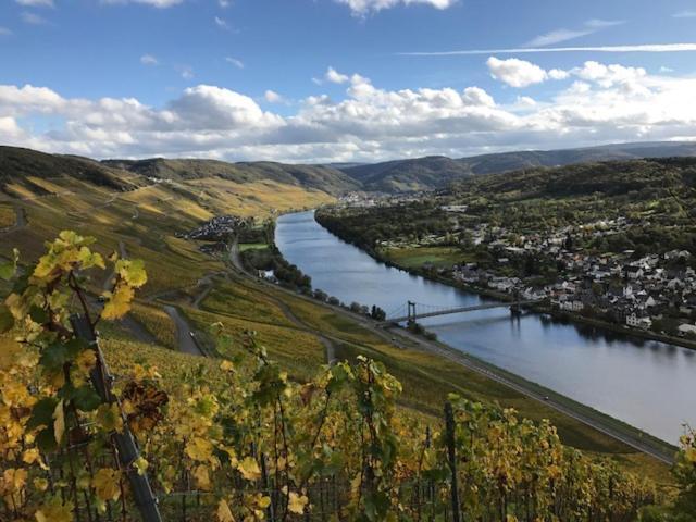 Ferien-Wein-Gut Keifer Hotel Verbandsgemeinde Verbandsgemeinde Bernkastel-Kues Buitenkant foto