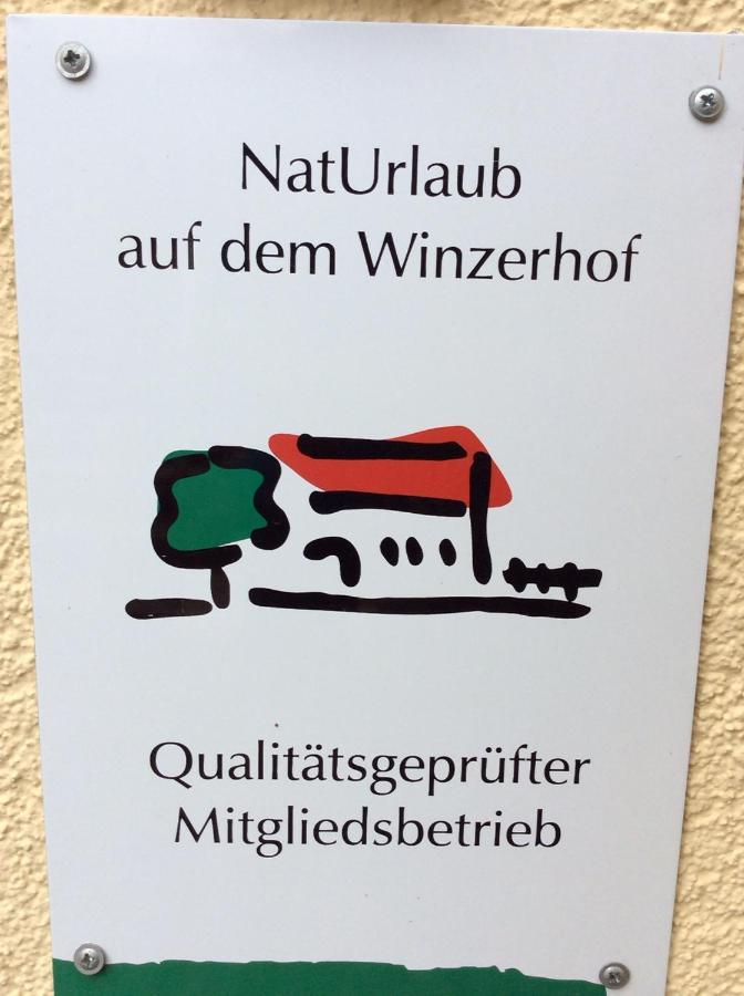 Ferien-Wein-Gut Keifer Hotel Verbandsgemeinde Verbandsgemeinde Bernkastel-Kues Buitenkant foto